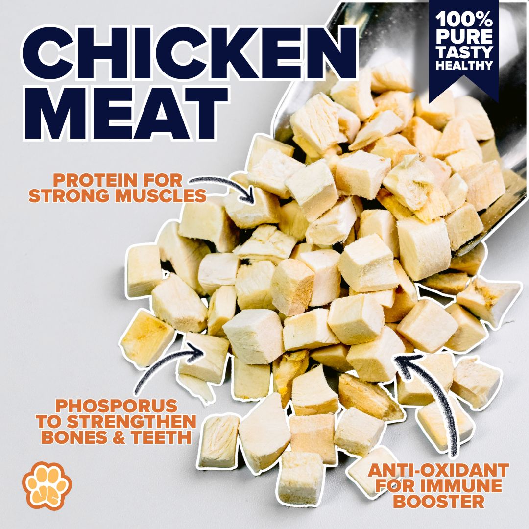 Pure Freeze-Dried Chicken Meat (100g)