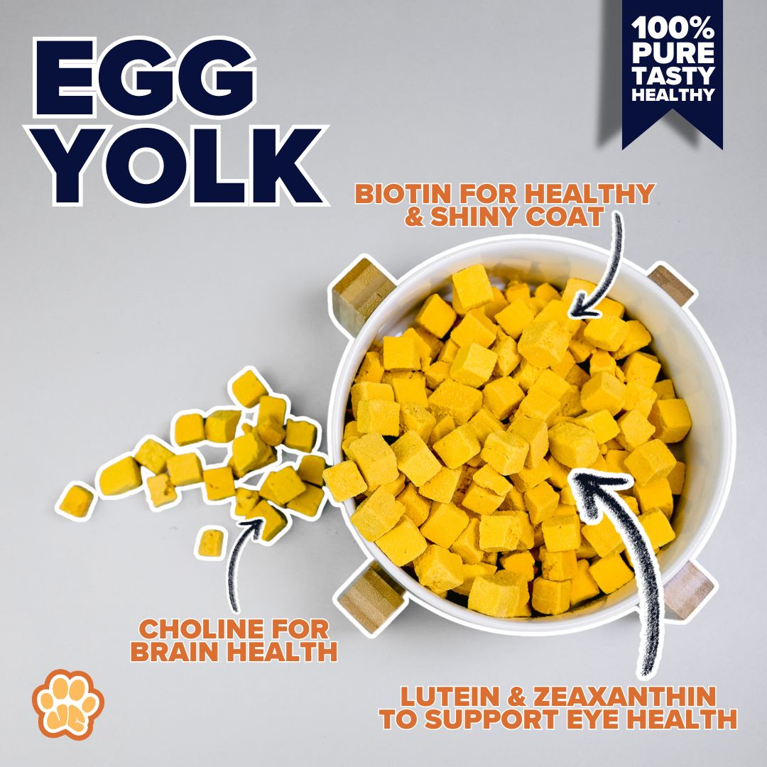 Pure Freeze-Dried Egg Yolk (100g)